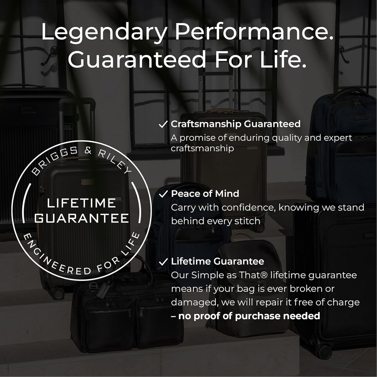 Briggs & Riley Travel Essentials Garment Folder