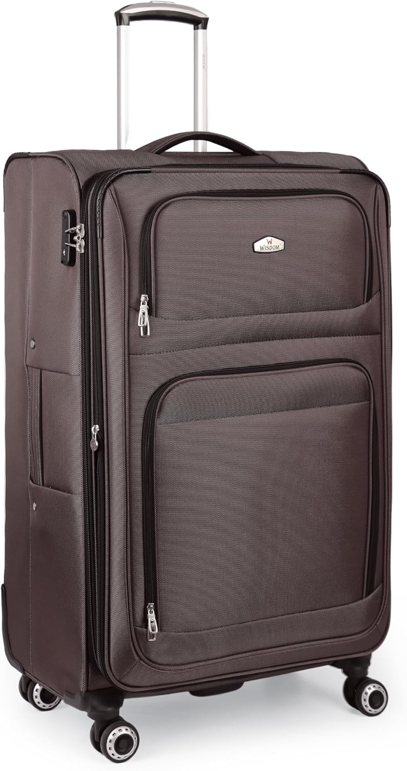 20'' Carry on Luggage,Softside Suitcase w/Combination LOCK,Expandable 15% Luggage w/Double Spinner Wheels,Lightweight Rolling Suitcases for Men/Women（Blue,20in）