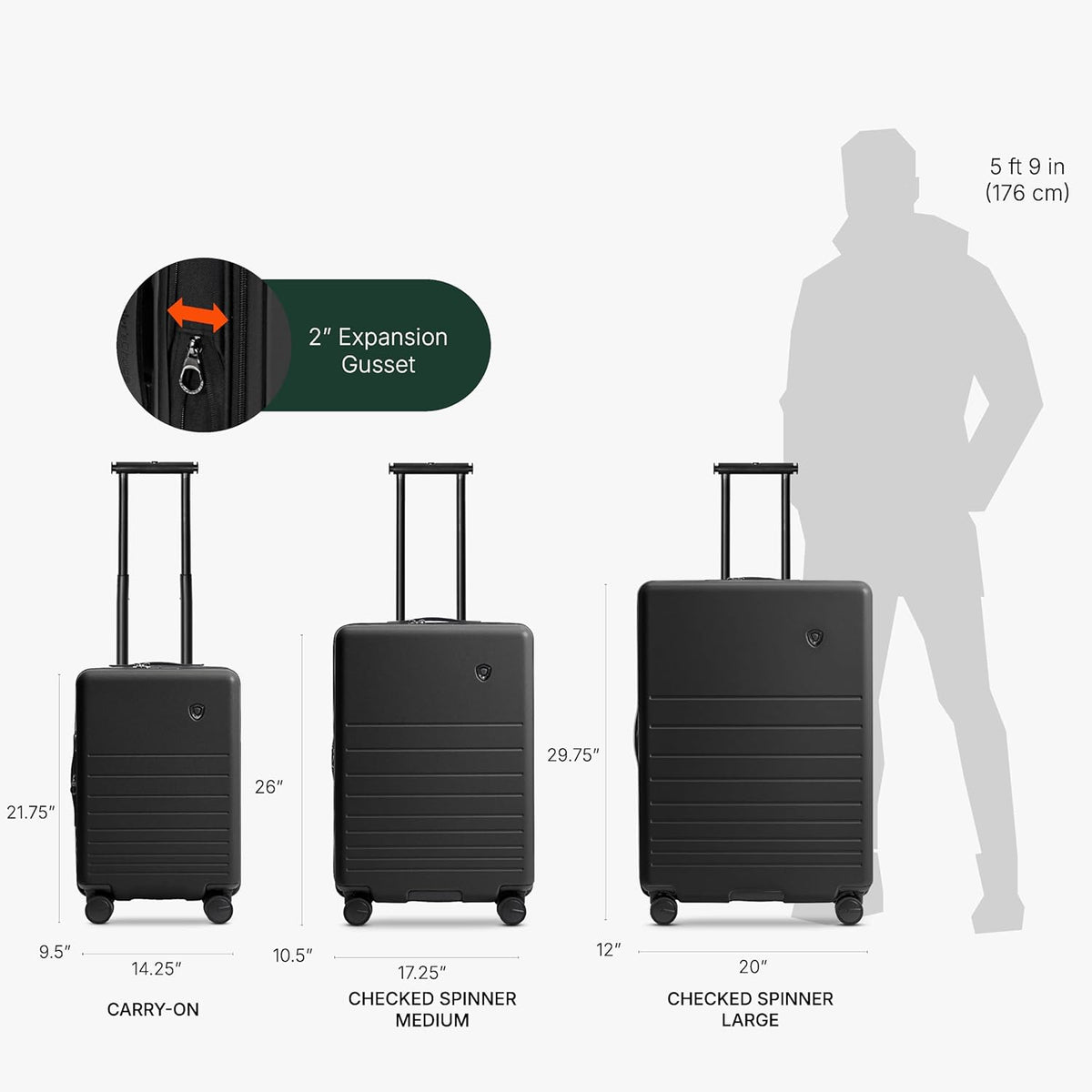 Markham Hardside Expandable Luggage with Double Spinner Wheels, Carry-On 21-Inch Suitcase, TSA Lock, 21-Inch, Green