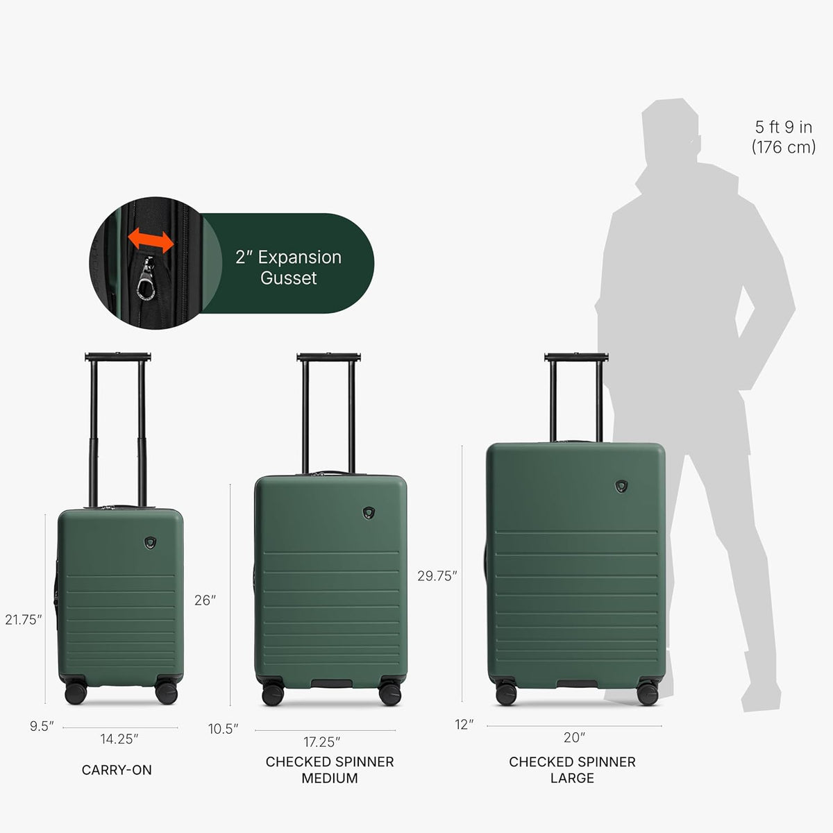 Markham Hardside Expandable Luggage with Double Spinner Wheels, Carry-On 21-Inch Suitcase, TSA Lock, 21-Inch, Green