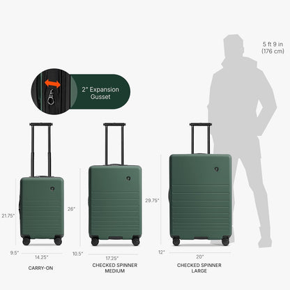 Markham Hardside Expandable Luggage with Double Spinner Wheels, Carry-On 21-Inch Suitcase, TSA Lock, 21-Inch, Green