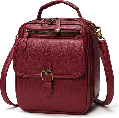 Small Crossbody Bags for Women Vegan Leather Messenger Purses, Vintage Wallet Anti Theft Shoulder Handbags with Card Slots