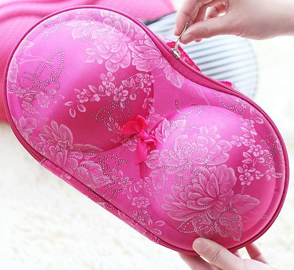Travel Home Organizer Zip Bag Case Portable Bra Storage Bag Waterproof Bra and Underwear