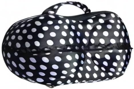 Travel Home Organizer Zip Bag Case Portable Bra Storage Bag Waterproof Bra and Underwear