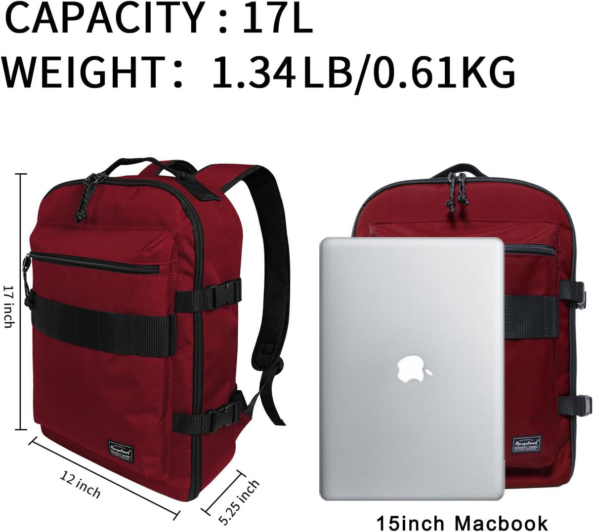 Small Carry-on Personal Item Backpack with luggage strap, Laptop Backpack for Men and Women, Business Travel Gym Sport, Pewter