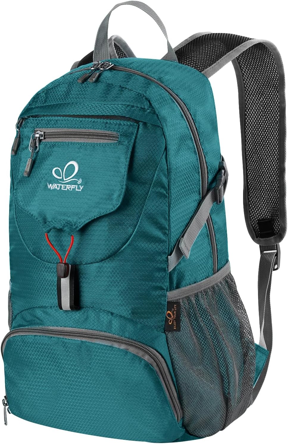 Small Lightweight Packable Backpack: 20l Hiking Daypack Man Woman | 20L,Recycled nylon material,Multi-compartment storage,Water-resistant,Everyday carry,Ultra Light Foldable Travel Day Pack