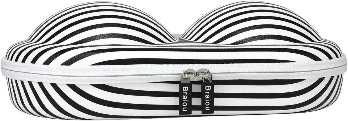 Premium Bra Case Lingerie Travel Bag Zip Underwear Organizer Bag for A-DD Cup (Swallow Gird)