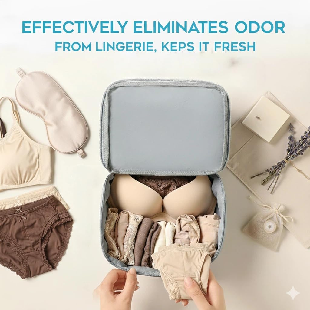 Odor Eliminating Lingerie Pouch, LAB-TESTED Waterproof Travel Underwear Organizer Bag for Bras, Panties, Socks - Soft & Foldable Design, Blue, (12.6" 8.5" 4.7") M
