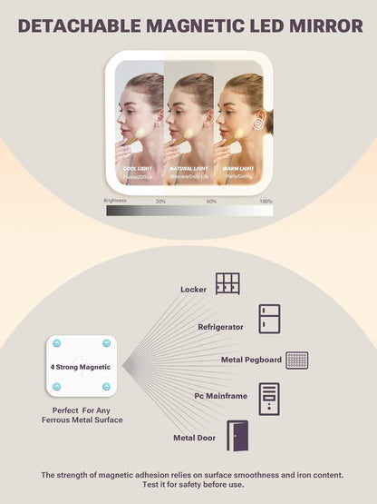 Makeup Box with A Detachable Lighted Mirror, Waterproof Travel Train Case, Cosmetic Organizer and Makeup Suitcase with Adjustable Dividers, Magnetic LED Mirror(Icy Pink)