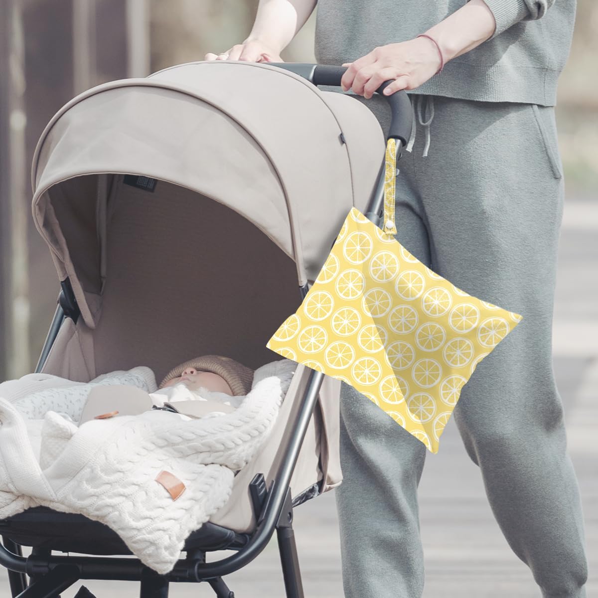 2Pcs Wet Bag, Wet Dry Bag Reusable with Zipper, Travel, Beach, Pool, Diapers, Baby Clothes, Dirty Yoga Gym Clothes,Toiletry, Hook to Stroller, Waterproof Wetdry Packing, Goose Decor (12x10 Inch)