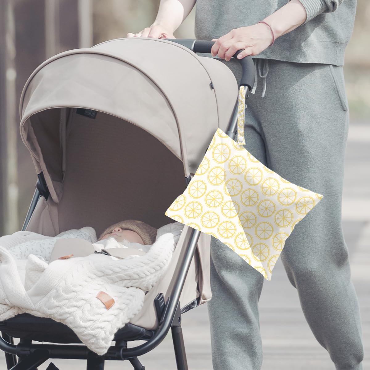 2Pcs Wet Bag, Wet Dry Bag Reusable with Zipper, Travel, Beach, Pool, Diapers, Baby Clothes, Dirty Yoga Gym Clothes,Toiletry, Hook to Stroller, Waterproof Wetdry Packing, Goose Decor (12x10 Inch)