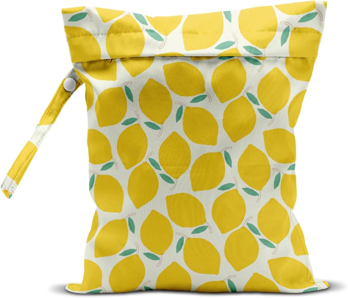 Wet Bag, Wet Dry Bag, Wet Bag for Swimsuit, Travel, Beach, Pool, Diapers, Dirty Yoga Gym Clothes, Makeup Bag, Waterproof Reusable Fruit Decor Orange Strawberry