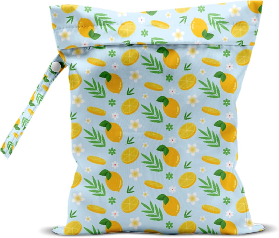 Wet Bag, Wet Dry Bag, Wet Bag for Swimsuit, Travel, Beach, Pool, Diapers, Dirty Yoga Gym Clothes, Makeup Bag, Waterproof Reusable Fruit Decor Orange Strawberry