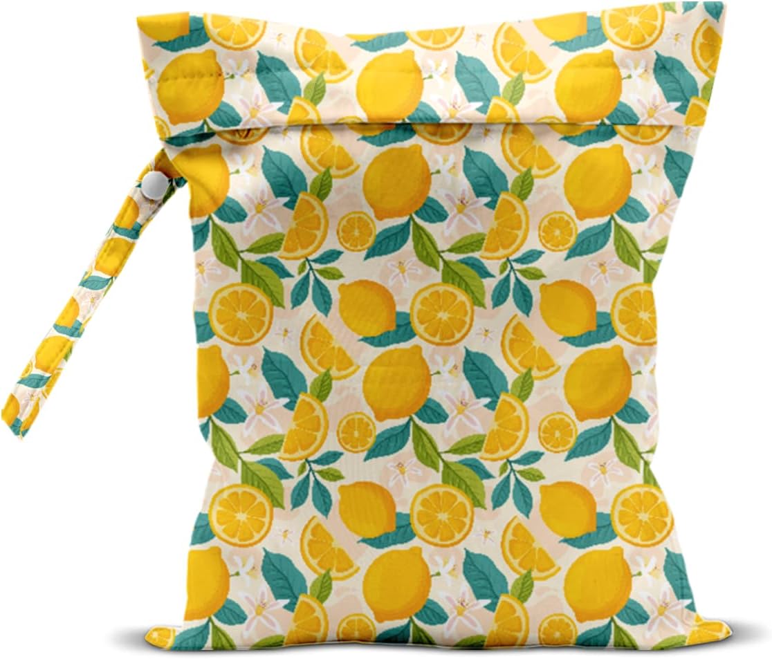 Wet Bag, Wet Dry Bag, Wet Bag for Swimsuit, Travel, Beach, Pool, Diapers, Dirty Yoga Gym Clothes, Makeup Bag, Waterproof Reusable Fruit Decor Orange Strawberry