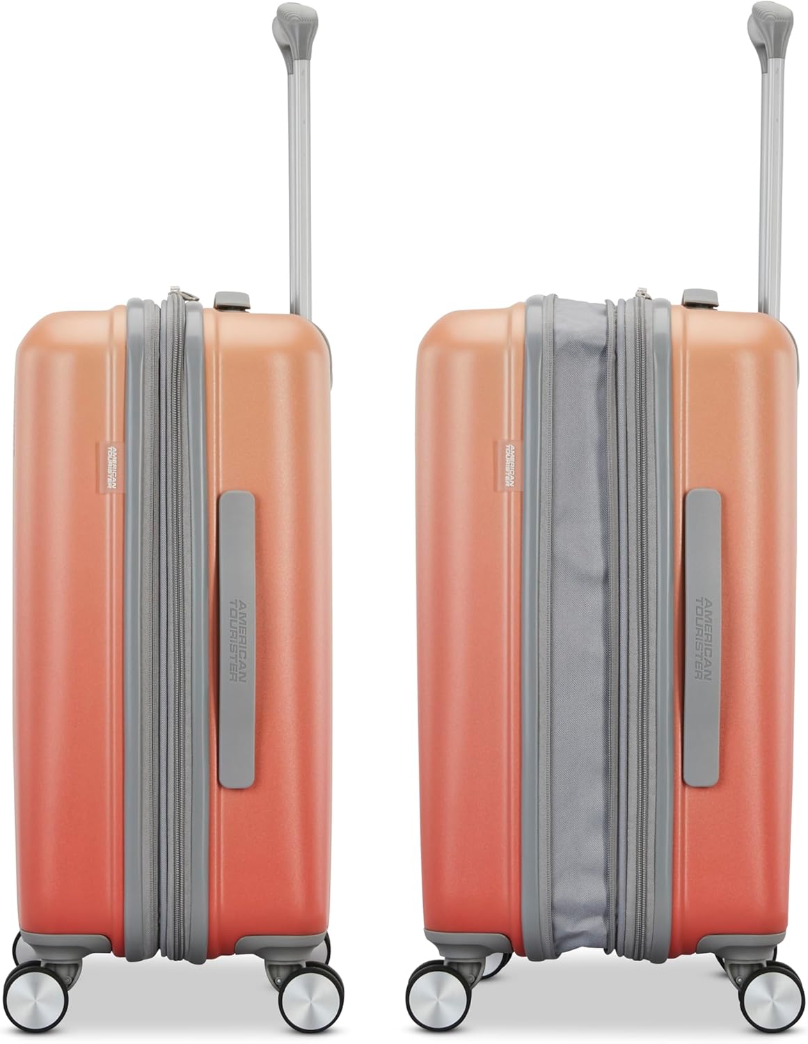 Moonlight Hardside Expandable Luggage with Spinner Wheels, Palm, Carry-On 20-Inch