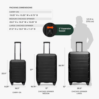 Pagosa Hardshell Expandable Luggage with Spinner Wheels, Black, 22-Inch Carry-on