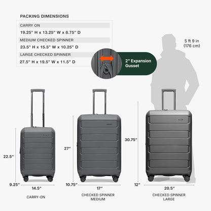 Pagosa Hardshell Expandable Luggage with Spinner Wheels, Black, 22-Inch Carry-on