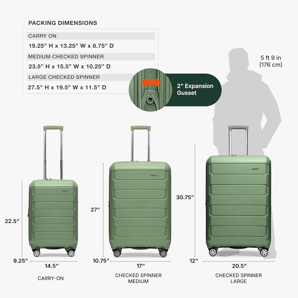 Pagosa Hardshell Expandable Luggage with Spinner Wheels, Black, 22-Inch Carry-on