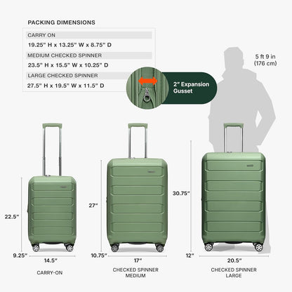 Pagosa Hardshell Expandable Luggage with Spinner Wheels, Black, 22-Inch Carry-on