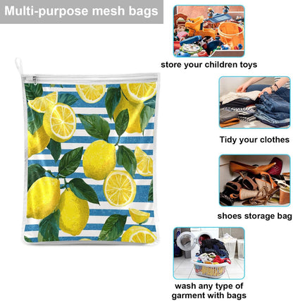 Mesh Laundry Bags Lingerie Bags for Washing Delicates 2 PCS Durable Wash Bag with Zipper Small and Medium Washable Pink Juicy Checkered Cherry - Colors A