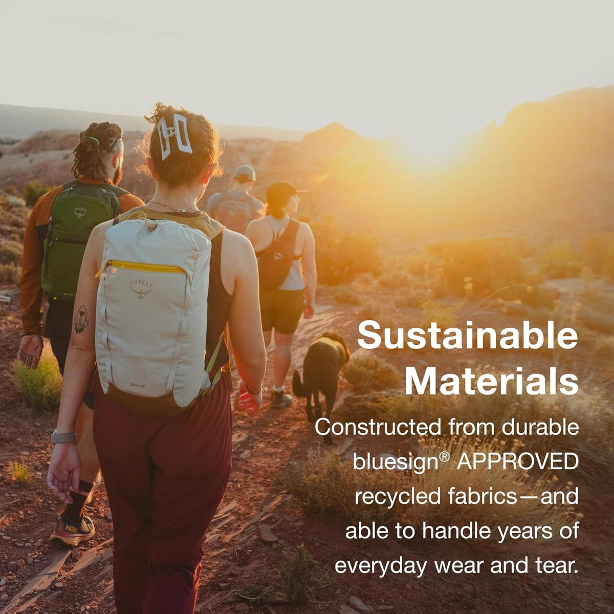 Daylite Cinch Backpack - Lightweight Travel Bag for Hikes, Festivals, and Everyday, Seaweed Green Amazon Exclusive
