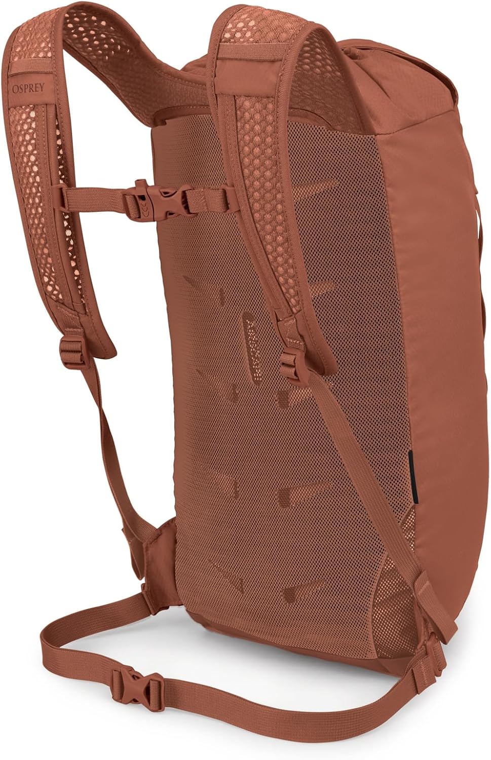 Daylite Cinch Backpack - Lightweight Travel Bag for Hikes, Festivals, and Everyday, Seaweed Green Amazon Exclusive