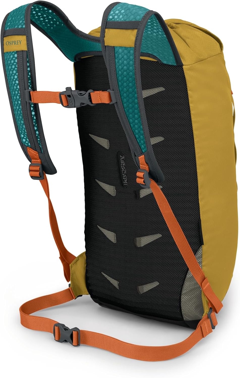Daylite Cinch Backpack - Lightweight Travel Bag for Hikes, Festivals, and Everyday, Seaweed Green Amazon Exclusive