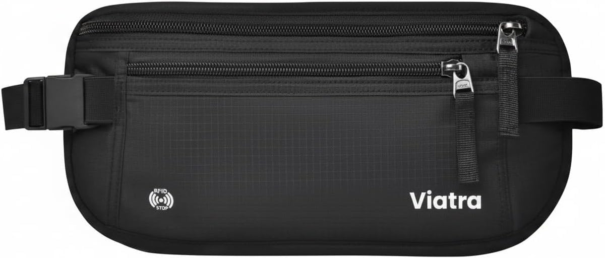 Travel Money Belt with RFID Blocking, Hidden Waist Pack for Passport, Cards, and Cash, Black (Gray)