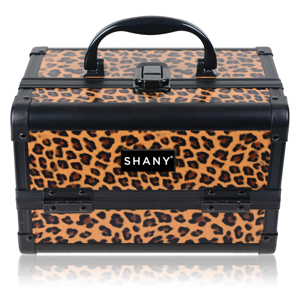 SHANY Chic Makeup Train Case Cosmetic Box Portable Makeup Case Cosmetics Beauty Organizer Jewelry storage with Locks, Multi trays Makeup Storage Box with Makeup Mirror - Aqua