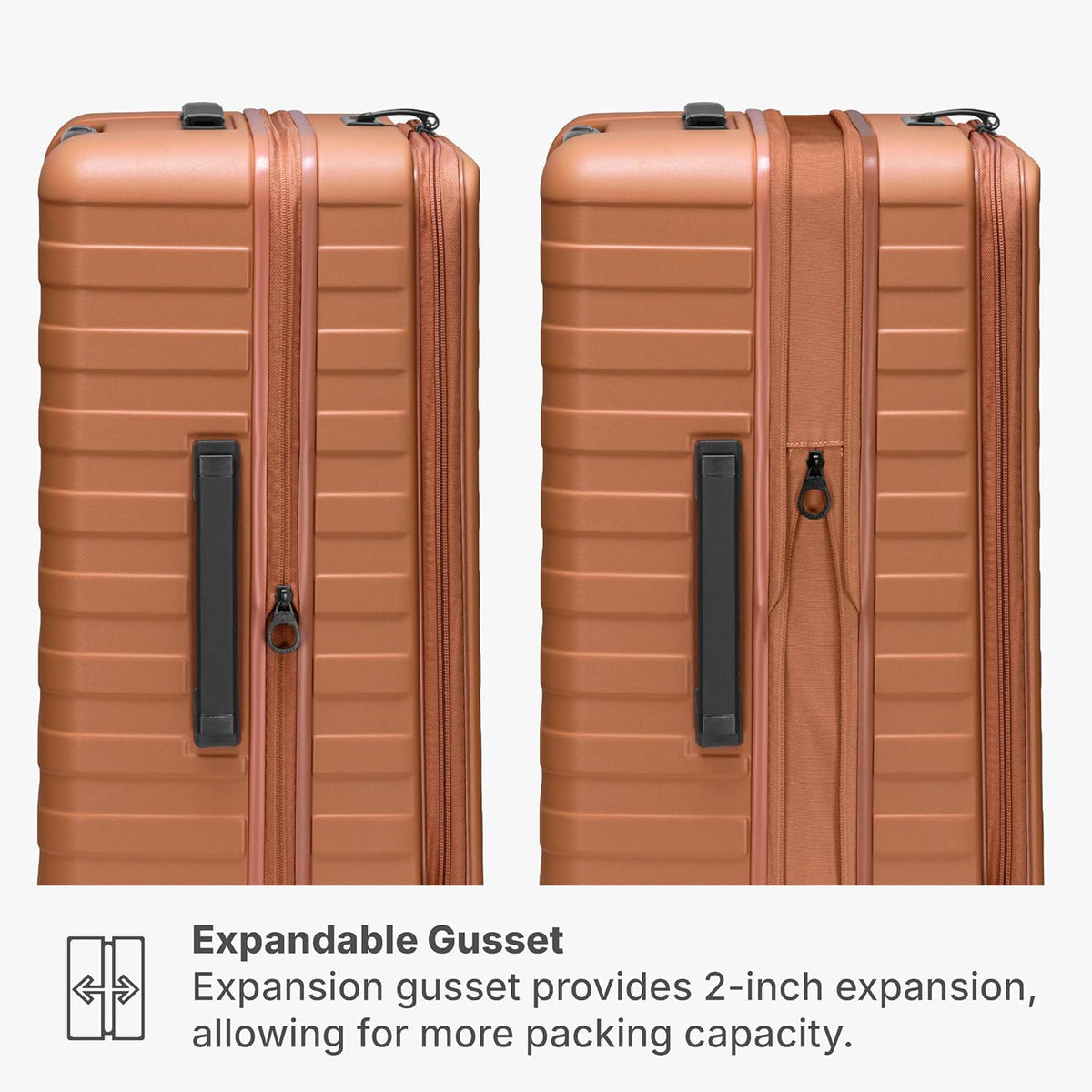 Novia Top Opening Expandable Polycarbonate Luggage with Spinner Wheels, Autumn Leaves, 21-Inch Carry-on