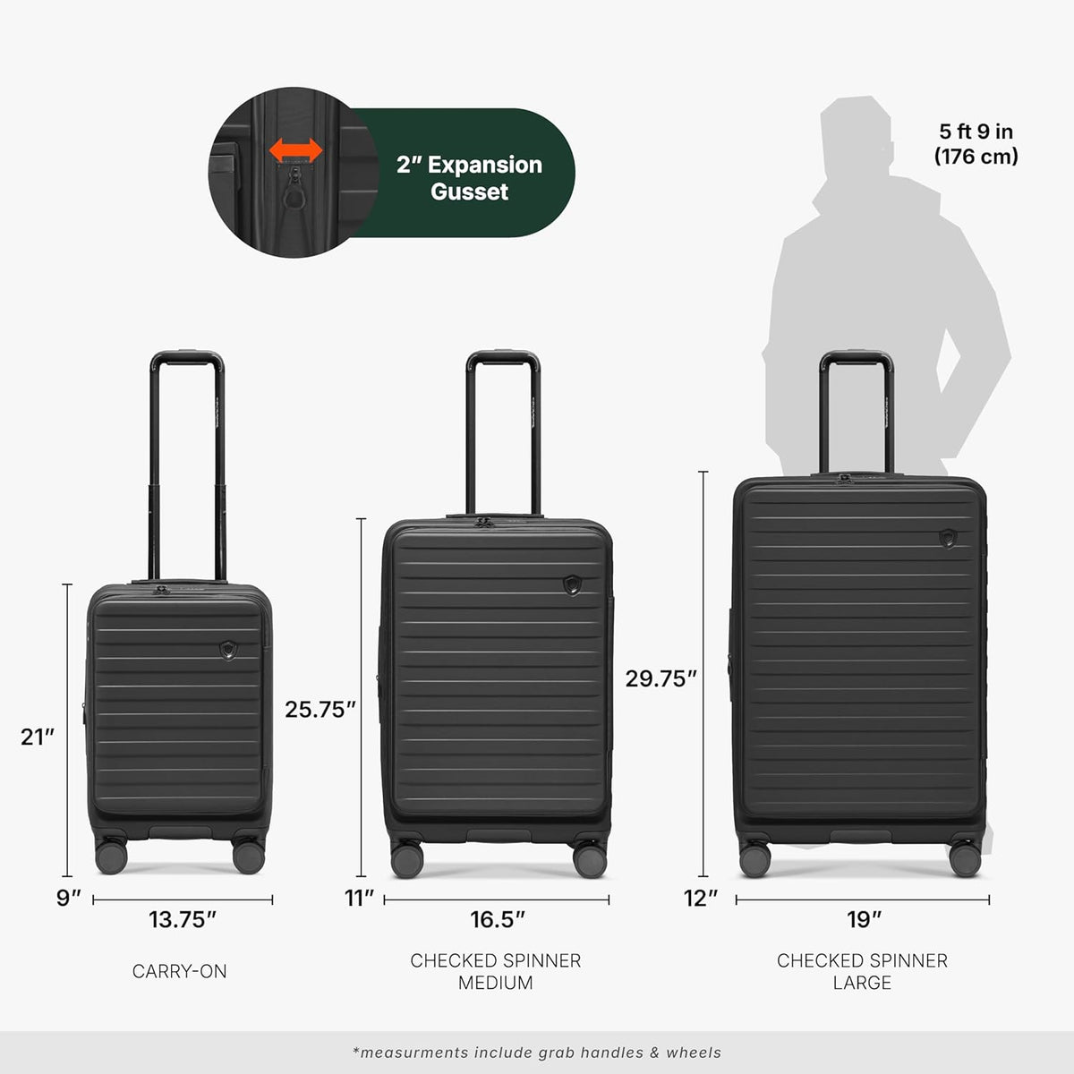 Novia Top Opening Expandable Polycarbonate Luggage with Spinner Wheels, Autumn Leaves, 21-Inch Carry-on