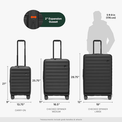 Novia Top Opening Expandable Polycarbonate Luggage with Spinner Wheels, Autumn Leaves, 21-Inch Carry-on