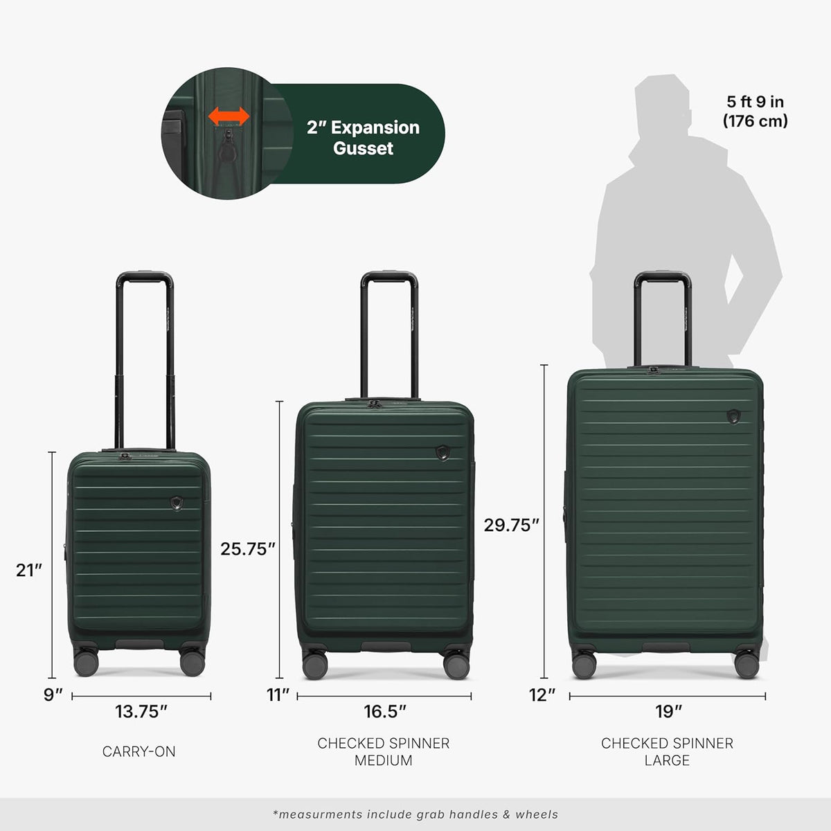 Novia Top Opening Expandable Polycarbonate Luggage with Spinner Wheels, Autumn Leaves, 21-Inch Carry-on