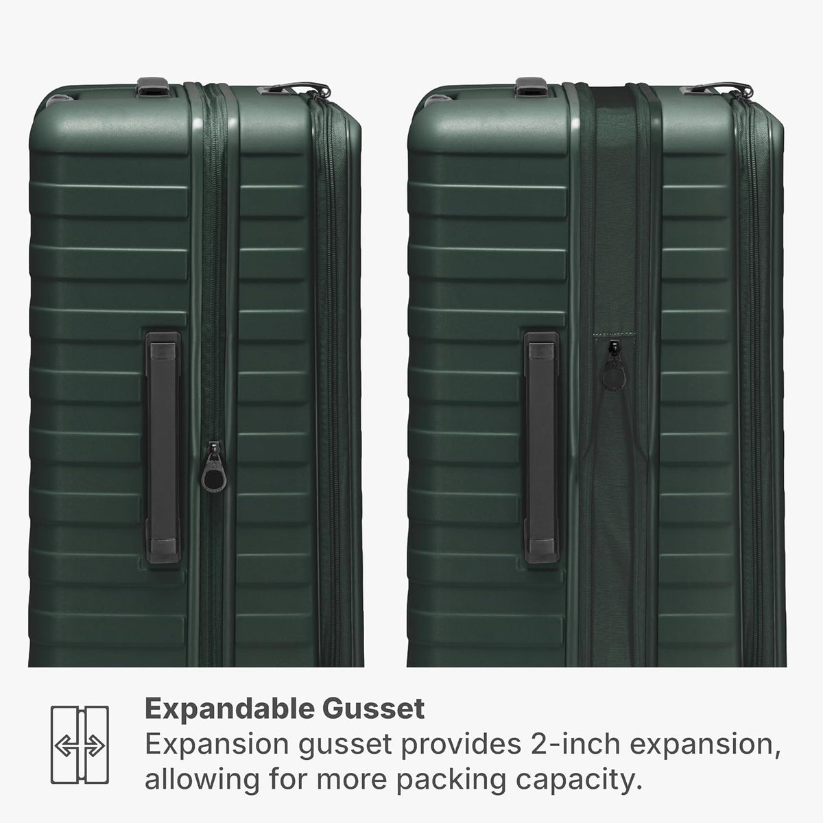 Novia Top Opening Expandable Polycarbonate Luggage with Spinner Wheels, Autumn Leaves, 21-Inch Carry-on
