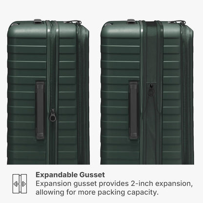 Novia Top Opening Expandable Polycarbonate Luggage with Spinner Wheels, Autumn Leaves, 21-Inch Carry-on